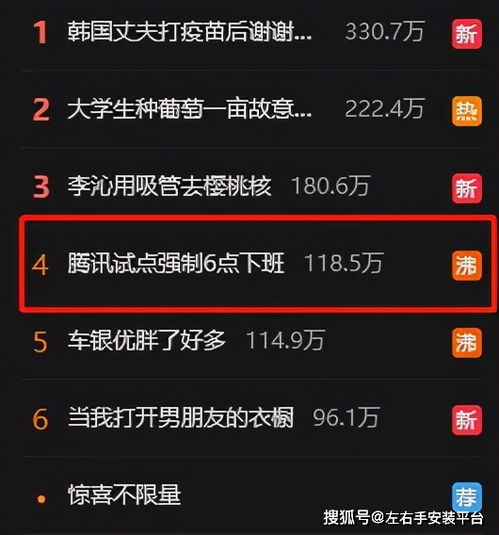 一、  生肖文化的溯源与应用