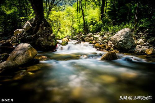 五、 养生？养蚊子还差不多！