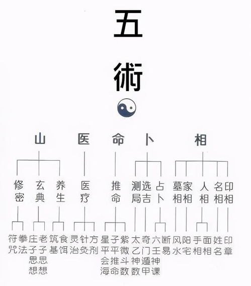 二、  “灵应”之机理：从感官摄取到吉凶判断的逻辑推演