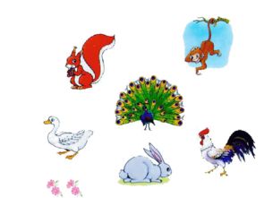 将蚕食鲸吞打一生肖，是哪个生肖尾巴特长？