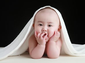 2018年出生属狗的女宝宝，有没有好听又文雅的名字推荐呢？