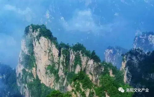 曲靖翠山半价票大冒险：2026年黄历显示今日宜破财