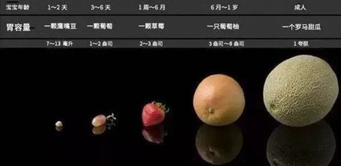 综合探讨：更多维度判定体系之优势与局限