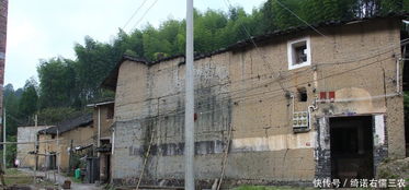 光线和风到底有多重要？