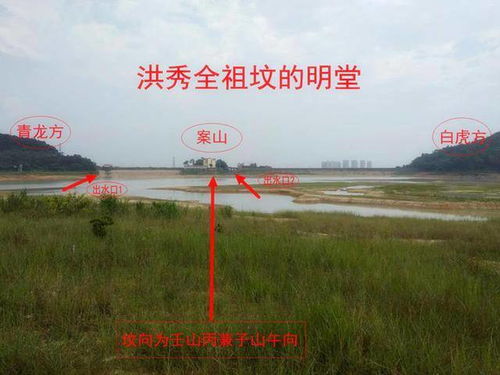 5.1 生肖差异化需求解析