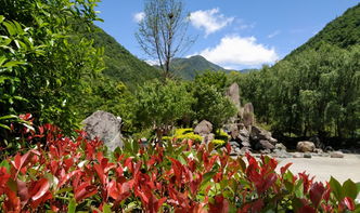 唐家河景区门票优惠攻略，省钱又好玩！