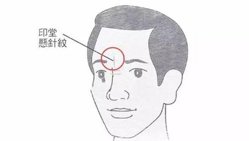 二、 易冲动男性的行为模式与命运走向