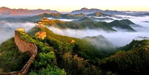 七、 疯狂噪音插曲：现场突发事件集锦