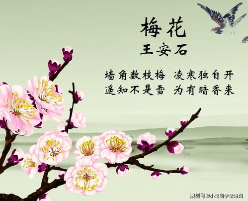 一、 古诗中的意象与寒意的象征意义