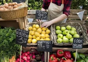 例子二：“田园牧歌”