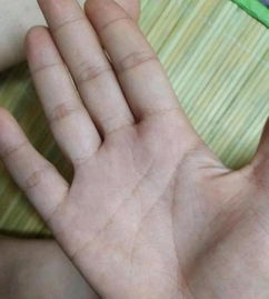 一、 研究背景與目的