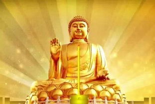 佛祖灵签31姻缘签能改写为长尾吗？