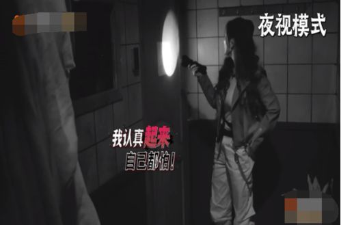 扭曲面容对应之生肖象征及星座隐喻