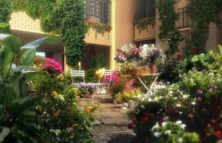 2.3 植物绿化：化解煞气与调节气场