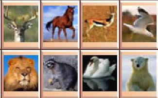 ‘牛鬼蛇神’和‘牛狗蛇神’分别指的是哪些生肖？