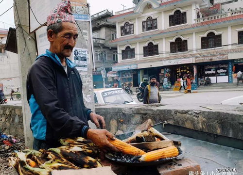 别再盲目打卡！真正值得去尝试的南京隐藏美食（非商业化版） 🍜🍢🥟