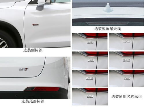 2025年出生的宝宝有什么忒别之处呢？