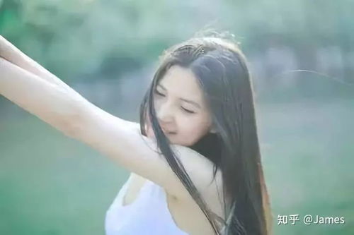 概念界定与理论框架