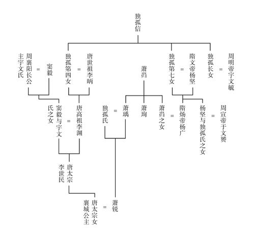 一、 家族成员概览与历史持续发展脉络