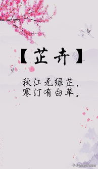 1. 感觉+直觉=名字