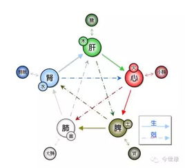 眼底观察与运势关联之学术阐释