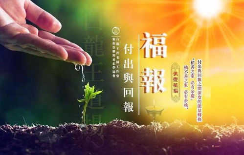 生肖与五行命理视角下的“兔年大吉”阐释