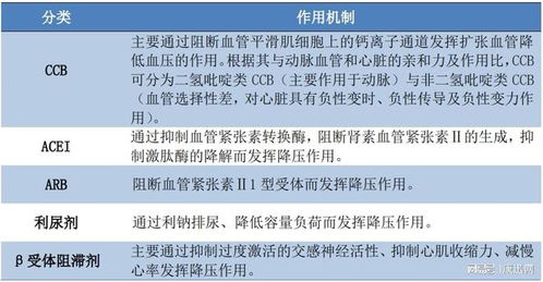 一、  药理与文理：内在机制的深度同构