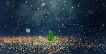 5月初五下雨对风水有吉兆吗？