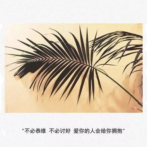 多情属哪个生肖年？抖音上多情的生肖是什么意思？