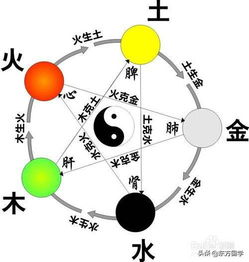 齐字的含义和五行属性