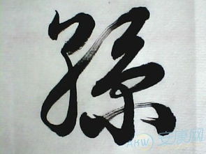 孙姓女虎宝宝2026年名字，海字如何改写为？