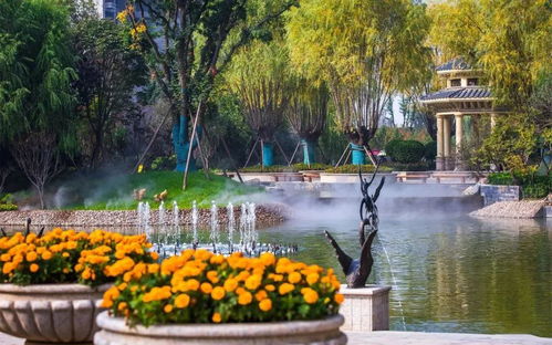 震惊！微电园西著七里风水大揭秘，99%的人看完都哭了