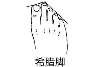 1.2 财运表现及其发展轨迹