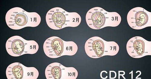 创崭新科学研究技术手段公司对团队结构优化及员工潜能提升之策略实施