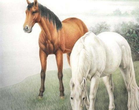 2026年属马的生意运势中，属马的幸运物品具体指什么？