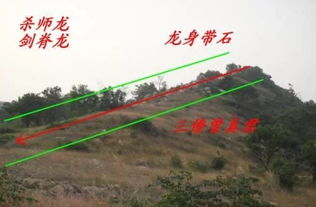 ：三僚堪舆文化的传承与曾真君先生的学术地位