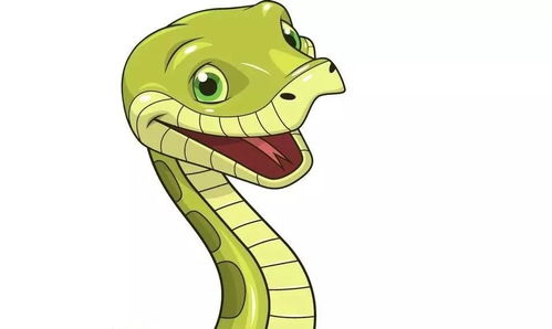 生肖蛇与哪个生肖相冲，生肖蛇男最佳配对是哪些生肖，这究竟意味着什么？