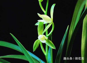 3.3 避免反光及电磁干扰源