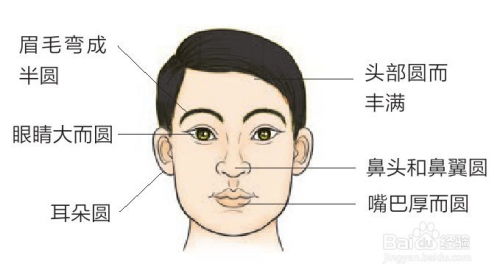 面相学与忠贞度的关联