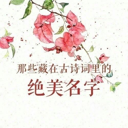 美良好今后的寄托