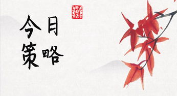 一、 五行命理基础：剑锋金命格的特性解读