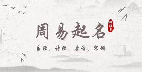 惯与噪音和情感色彩