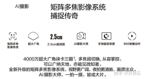 ：四字男生微信网名的文化语境与学术价值