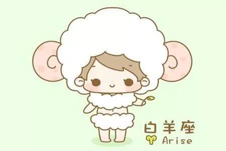 白羊座：酒精炉子