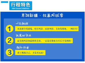 数据揭秘：定制游如何让你一边获得体验和性价比