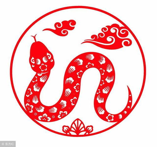 2026年属龙的人最旺的幸运数字是什么？