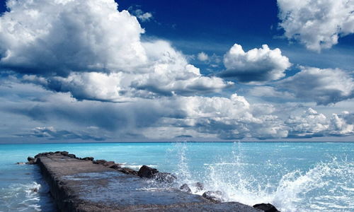 牛年生肖：稳健步伐与“中道”原则