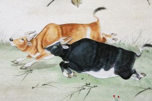 将一路长虹打一生肖，是哪个生肖尾巴特长？