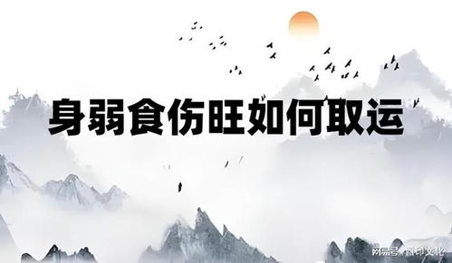 八字弱伤食太旺如何化解？食伤太旺走伤食大运是否适宜？
