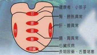 二、 过小舌头易漏：漏情漏财